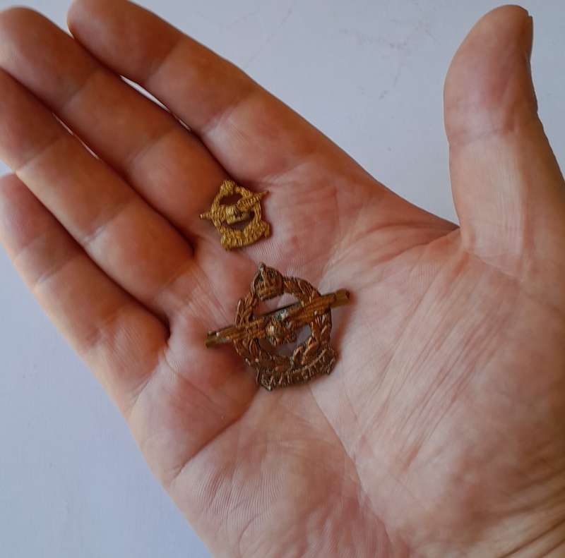 2 x WW2 SA Airforce / SA Lugmag Badges. 1 Collar. 1 Miniature.