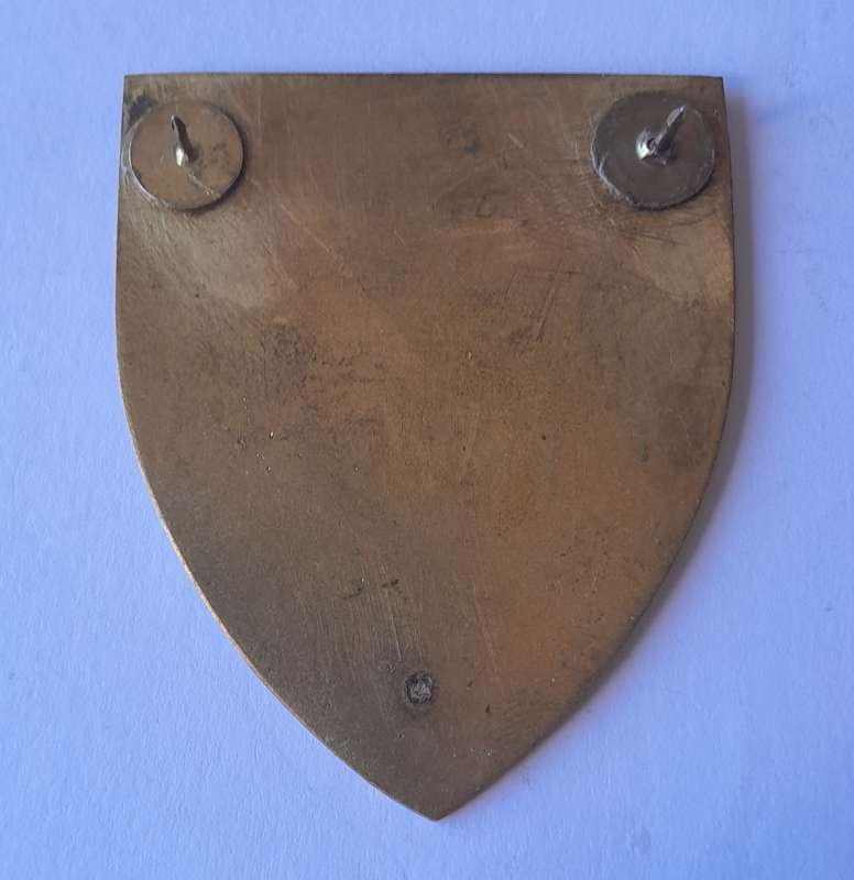 SADF Ermelo Commando Shoulder Flash. 2 Replaced Pins Intact.