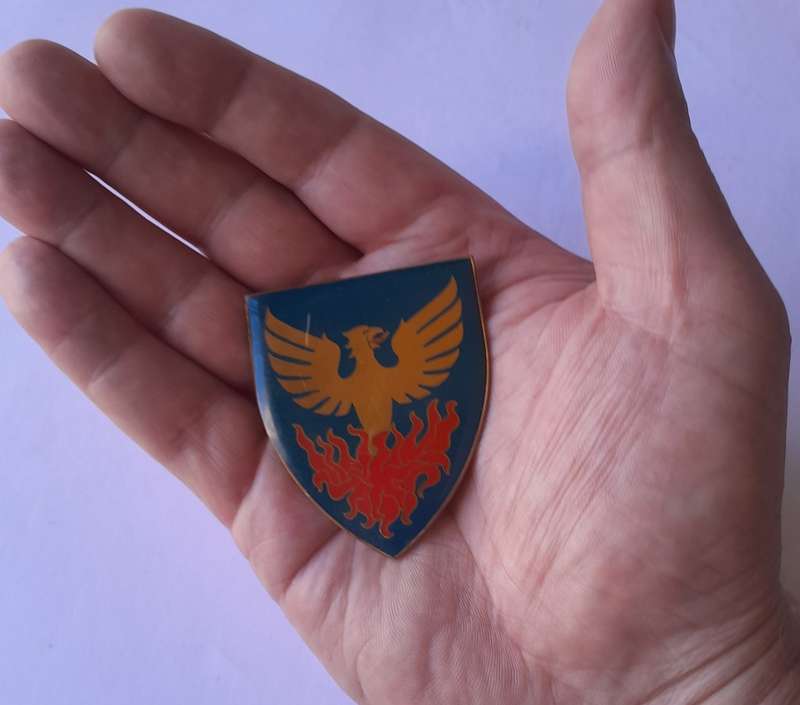 SADF Ermelo Commando Shoulder Flash. 2 Replaced Pins Intact.