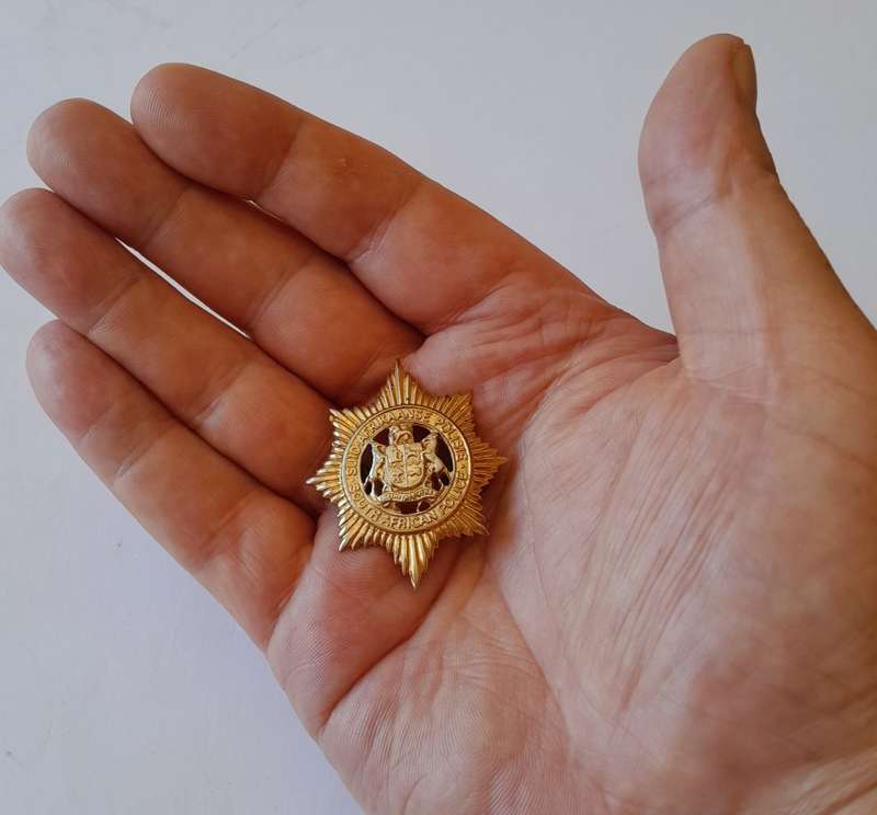 Vintage South African Police Metal Badge. Lugs Intact.
