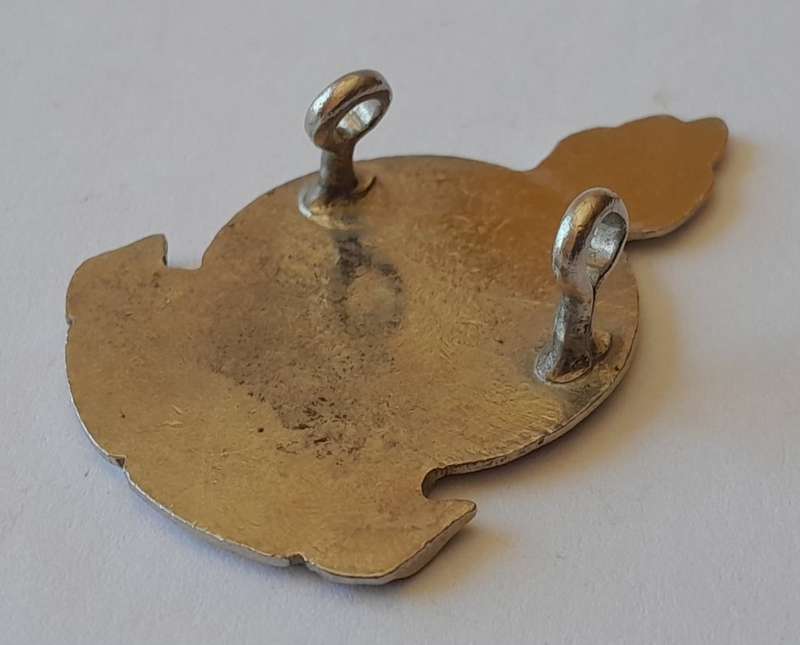 Vintage Metal And Enamel Voortrekker `Hou Koers` Badge. Larger Type.  Lugs Intact.
