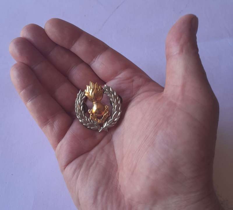 SADF Engineer Corps Cap Badge.  Lugs Intact.