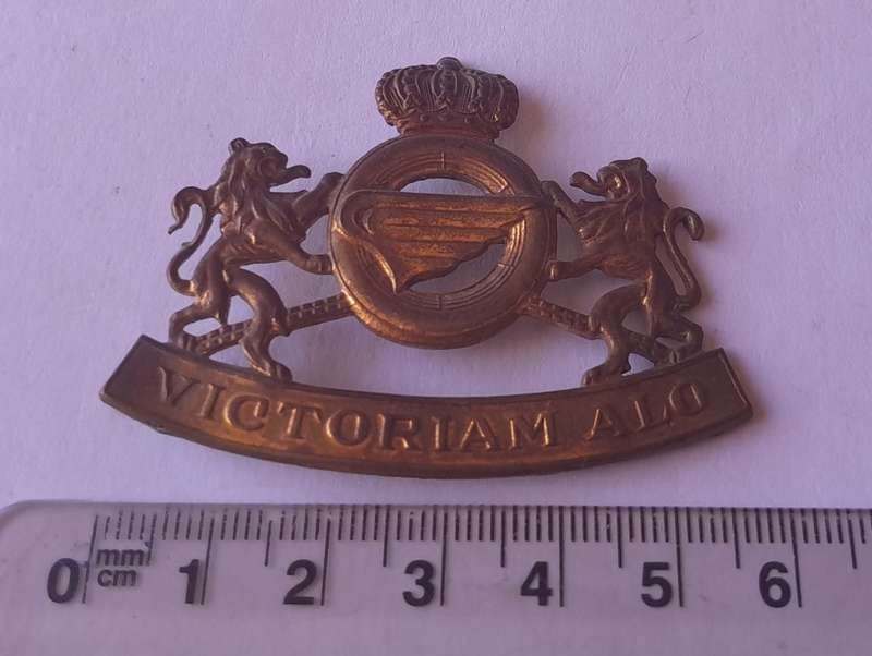 Belgium Royal Army Service Corps Badge.  No Lugs.