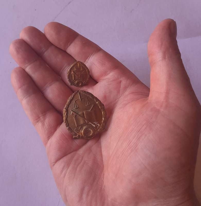Pair SA Prison Service Badges.  Cap and Collar.  Lugs and Pins intact.