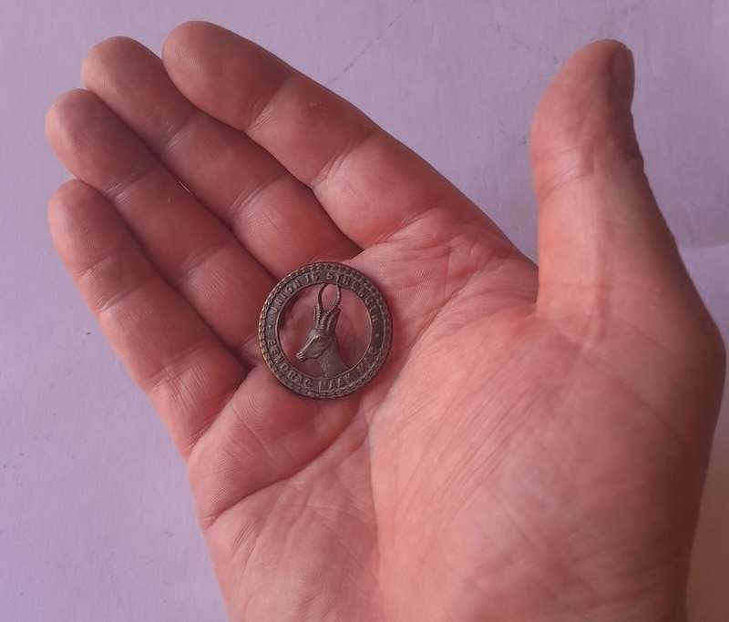 WW2 South African Infantry Springbok Badge.  Lugs Intact (1 Bent).