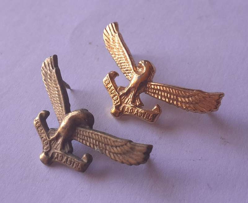 Pair SA Airforce Collar Badges (Facing).  Pins Intact.