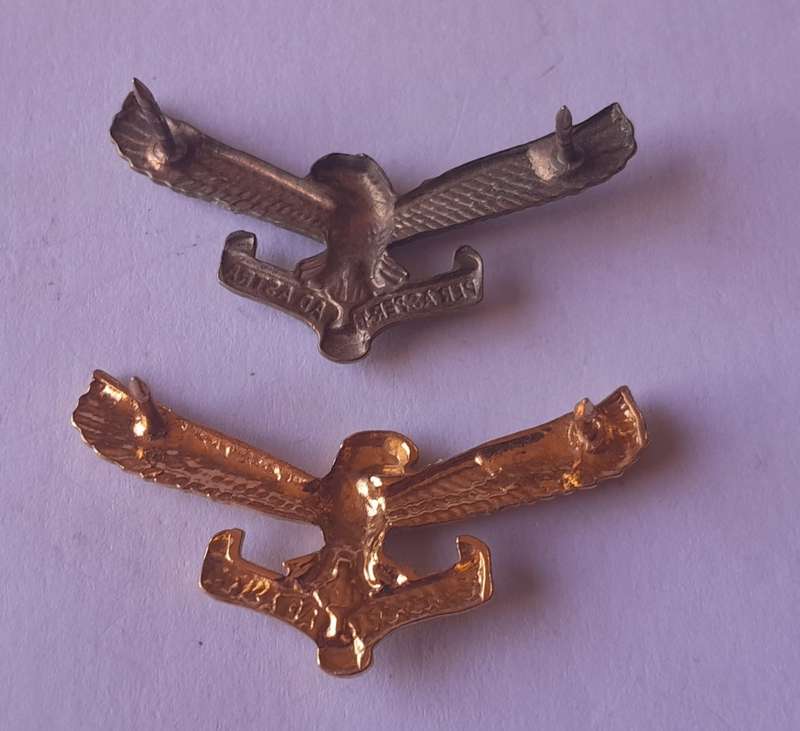 Pair SA Airforce Collar Badges (Facing).  Pins Intact.