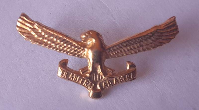 Pair SA Airforce Collar Badges (Facing).  Pins Intact.
