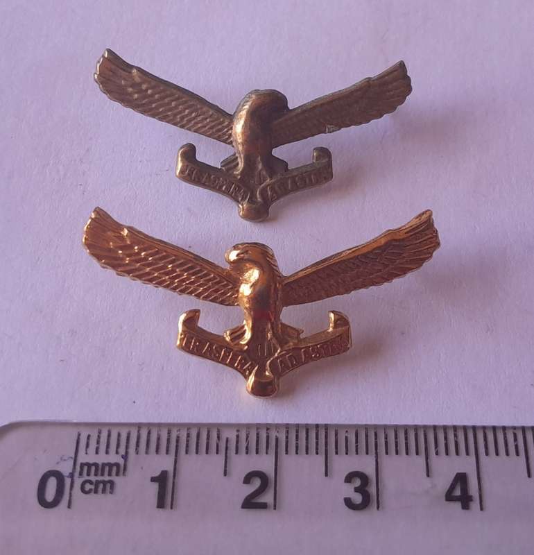 Pair SA Airforce Collar Badges (Facing).  Pins Intact.