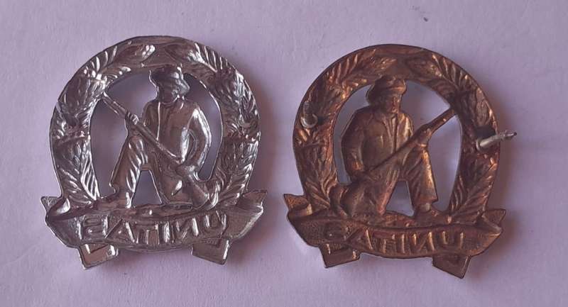 Pair SADF Commando Collar Badges (Facing).  Pins Intact.