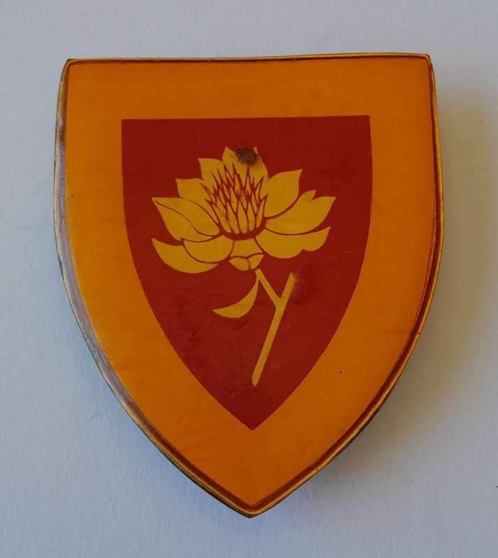 SADF Woman`s College Shoulder Flash.  All Pins Intact.