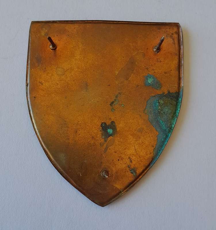 SADF Woman`s College Shoulder Flash.  All Pins Intact.