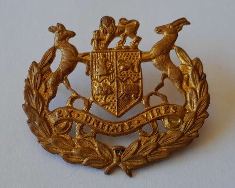 Pair SADF Warrant Officer Class 1 Gilt Rank Badges. Pins Intact.