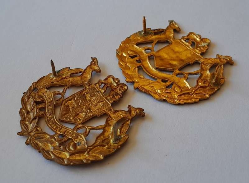 Pair SADF Warrant Officer Class 1 Gilt Rank Badges. Pins Intact.