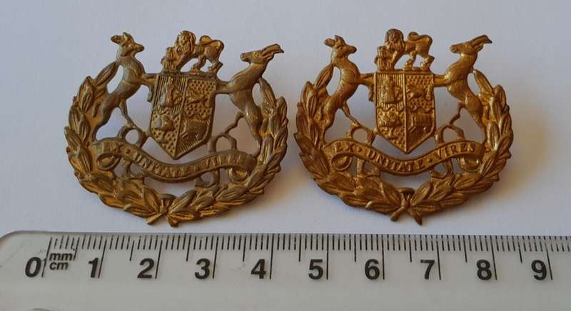 Pair SADF Warrant Officer Class 1 Gilt Rank Badges. Pins Intact.