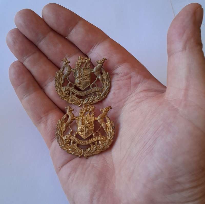 Pair SADF Warrant Officer Class 1 Gilt Rank Badges. Pins Intact.