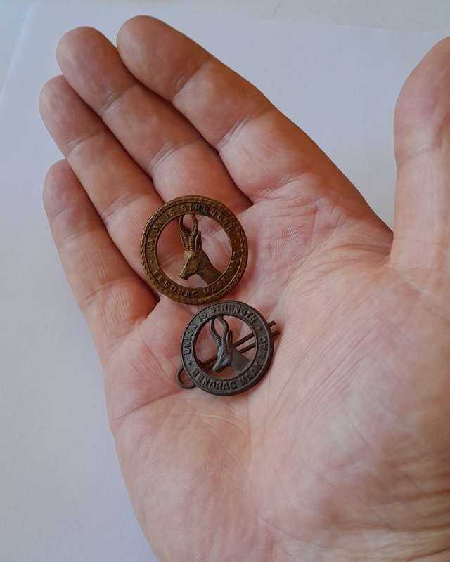 Pair WW2 SA Infantry Badges. Lugs Intact.