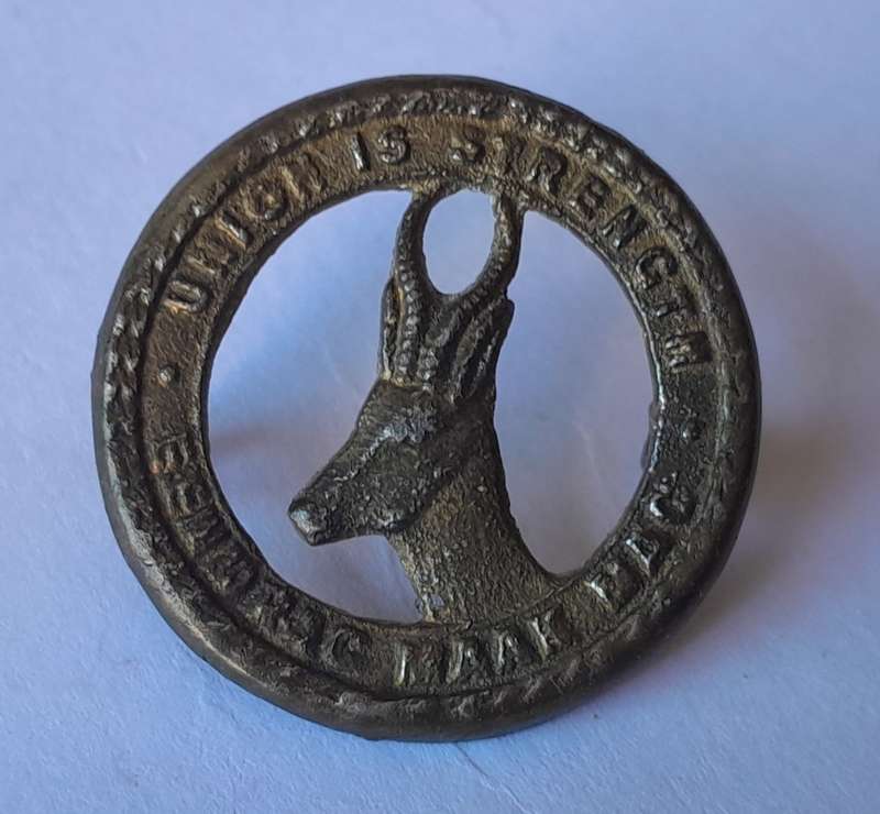 WW2 South African Infantry Badge Collection. Different Sizes. Lugs Intact.
