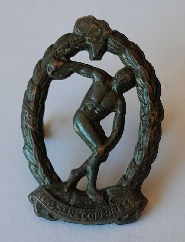 WW2 SA Physical Training Brigade Badge. Bronzed Brass. Lugs Intact.