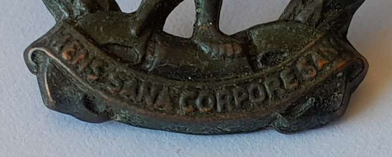 WW2 SA Physical Training Brigade Badge. Bronzed Brass. Lugs Intact.