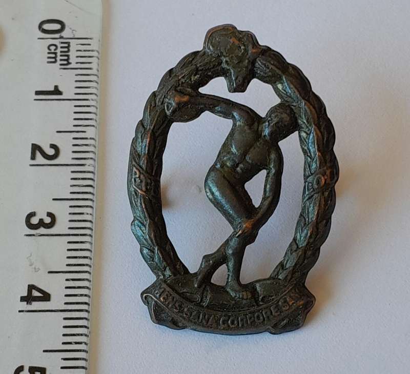 WW2 SA Physical Training Brigade Badge. Bronzed Brass. Lugs Intact.