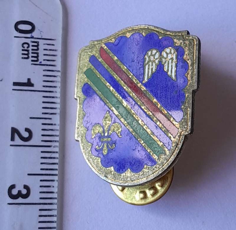 WW2 US Army 160th Infantry Regiment Crest Badge. Pins Intact.