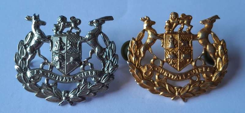 Vintage Pair SADF Warrant Officer Badges. White Metal / Brass Metal. Pins / Lugs Intact.