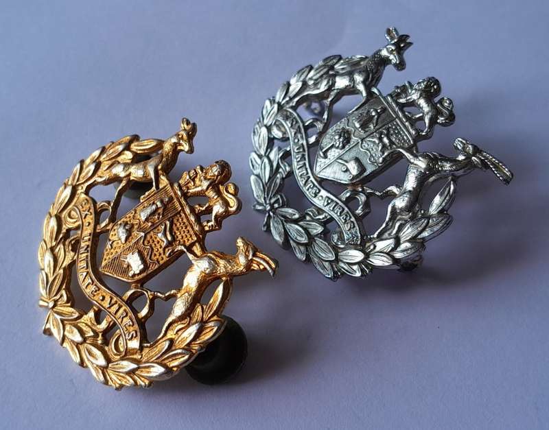 Vintage Pair SADF Warrant Officer Badges. White Metal / Brass Metal. Pins / Lugs Intact.