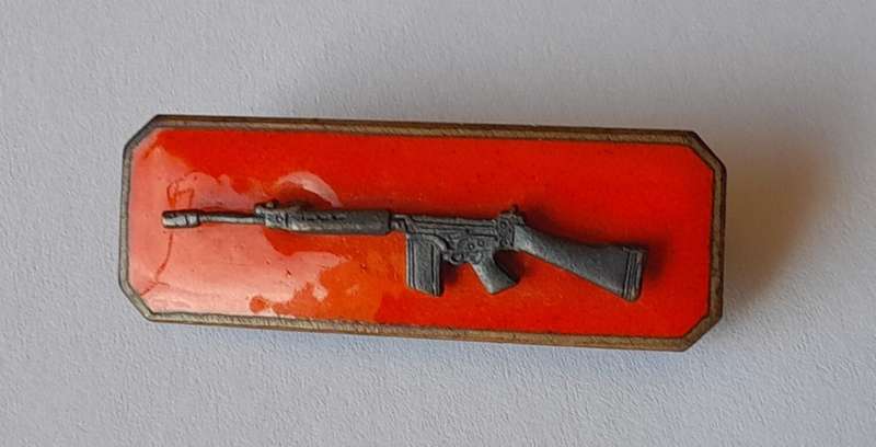 SADF Marksman Badge (Skiet Balkie). Pins Intact.