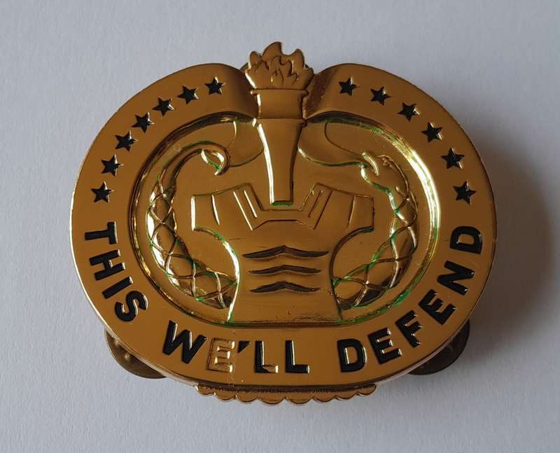 U.S. Army Drill Sergeant Badge. `THIS WE`LL DEFEND`. Pins Intact.