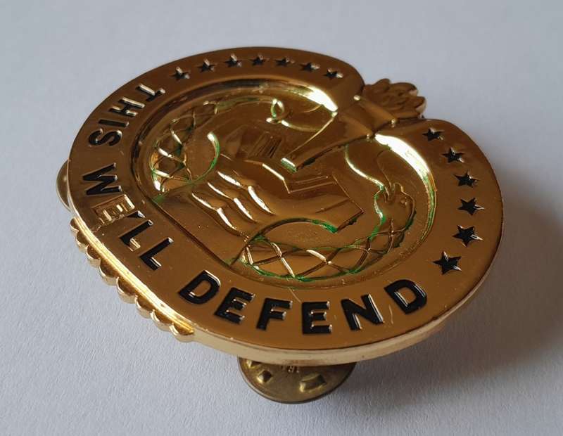 U.S. Army Drill Sergeant Badge. `THIS WE`LL DEFEND`. Pins Intact.