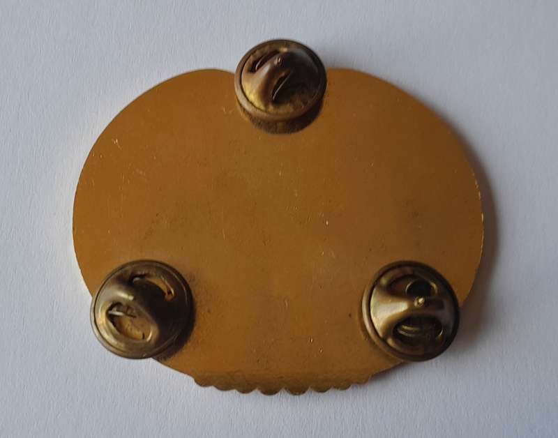 U.S. Army Drill Sergeant Badge. `THIS WE`LL DEFEND`. Pins Intact.