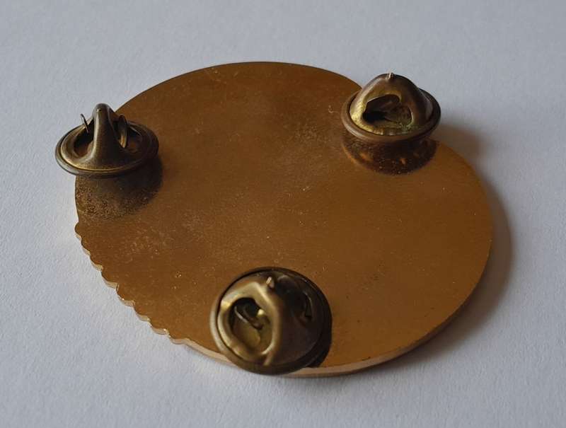 U.S. Army Drill Sergeant Badge. `THIS WE`LL DEFEND`. Pins Intact.