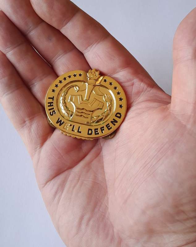 U.S. Army Drill Sergeant Badge. `THIS WE`LL DEFEND`. Pins Intact.