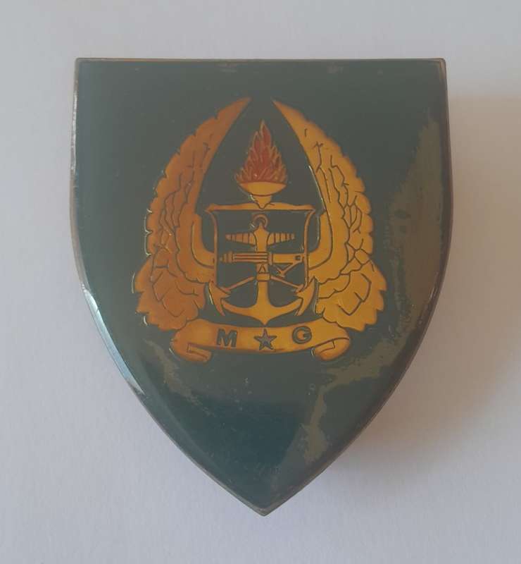 SADF Gymnasium Shoulder Flash (1 of 2). All Pins Intact.