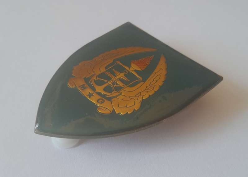 SADF Gymnasium Shoulder Flash (1 of 2). All Pins Intact.