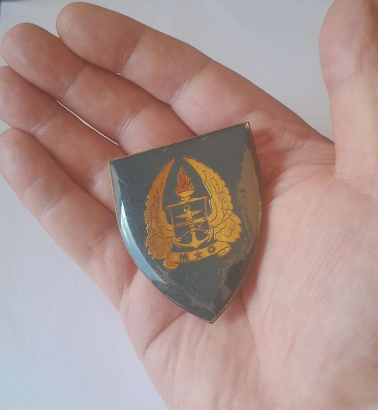 SADF Gymnasium Shoulder Flash (1 of 2). All Pins Intact.
