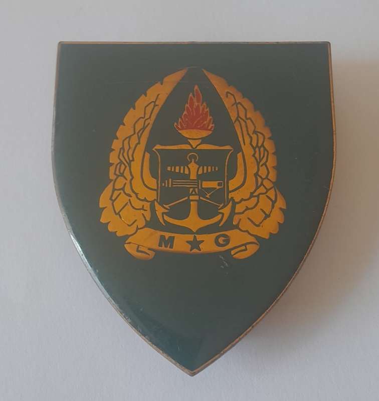 SADF Gymnasium Flash (2 of 2). All Pins Intact.