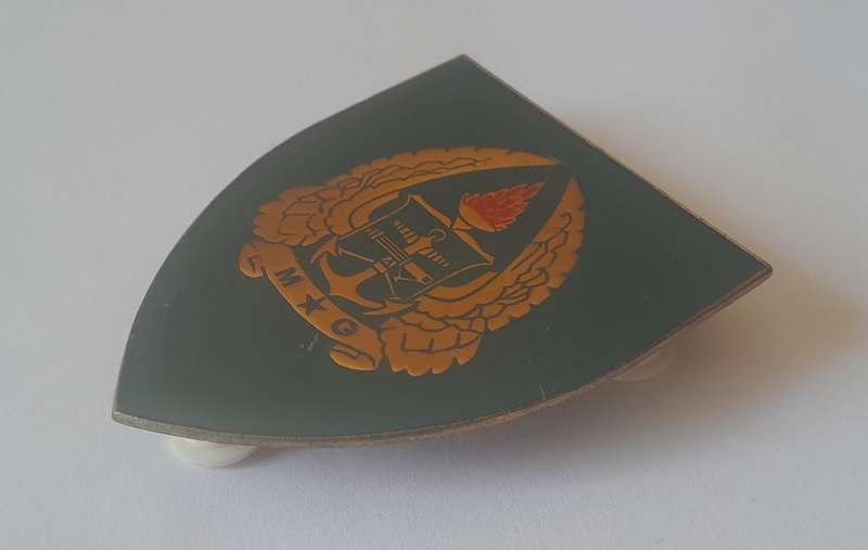 SADF Gymnasium Flash (2 of 2). All Pins Intact.