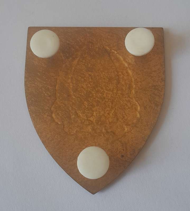 SADF Gymnasium Flash (2 of 2). All Pins Intact.