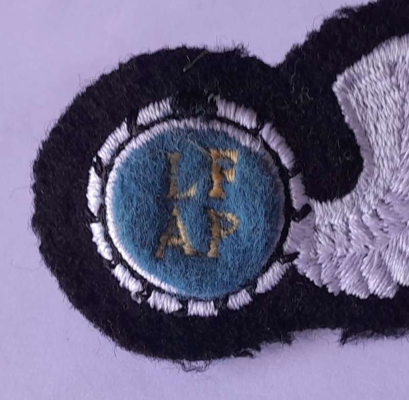 SA Air Force Air Photographer Large Wing Badge. Pins Intact.