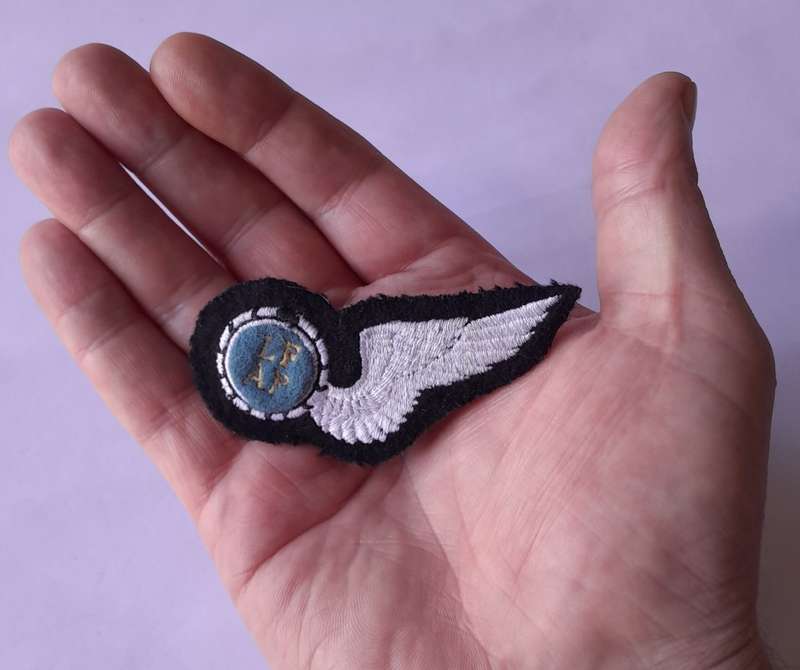 SA Air Force Air Photographer Large Wing Badge. Pins Intact.
