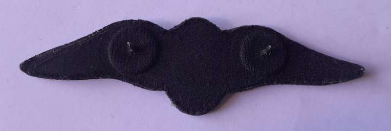 SA Air Force Pilot`s Large Wings Badge. Pins Intact.