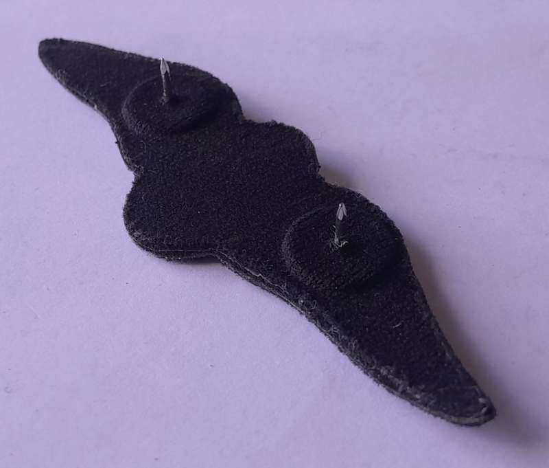 SA Air Force Pilot`s Large Wings Badge. Pins Intact.