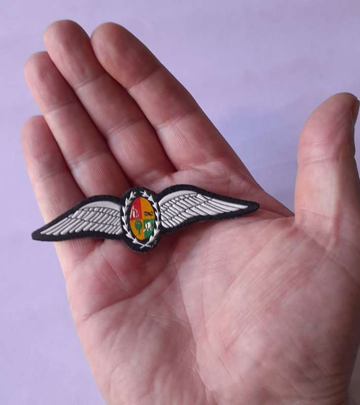 SA Air Force Pilot`s Large Wings Badge. Pins Intact.
