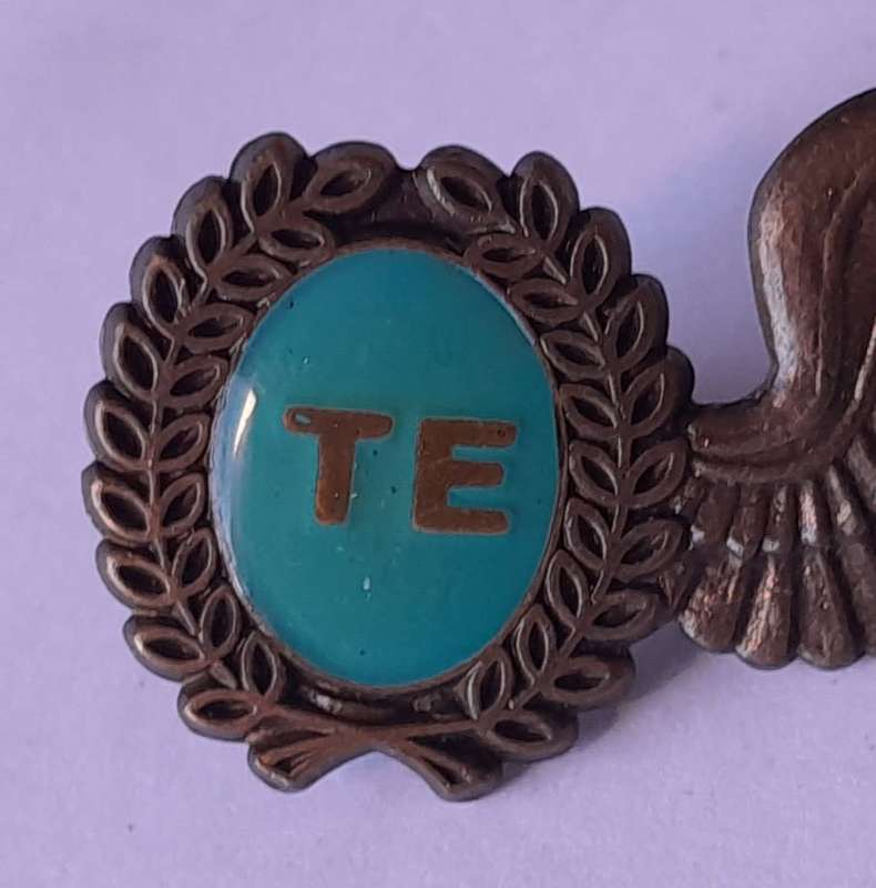 SA Air Force Test Engineer Metal Wing Badge. Pins Intact.