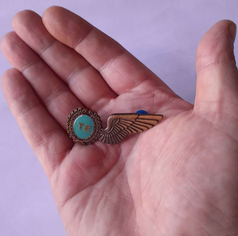 SA Air Force Test Engineer Metal Wing Badge. Pins Intact.
