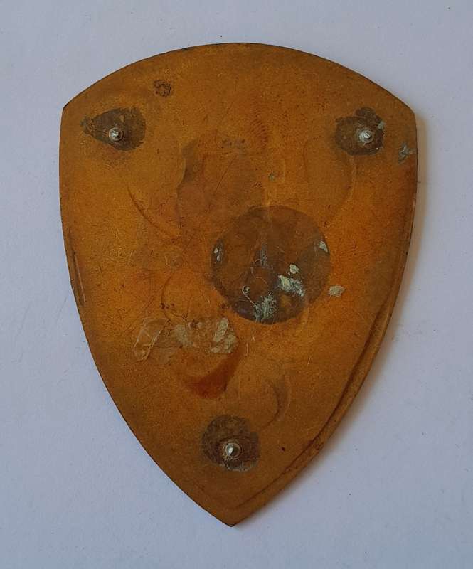 SADF Medical Training Centre Shoulder Flash. No Pins.