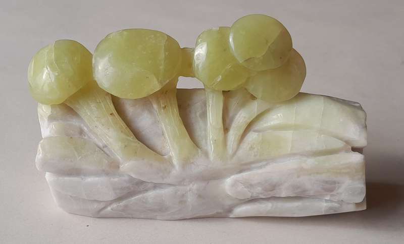 Antique Chinese Hand Carved Polished Jade `Mushrooms` Carving.