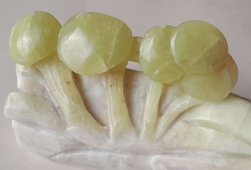 Antique Chinese Hand Carved Polished Jade `Mushrooms` Carving.